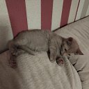  Alinka,  -  12  2025    