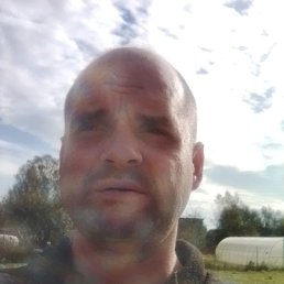 , 41, 