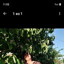 ���� �������, ������, 44 ���� - ��������� 12 ������ 2026