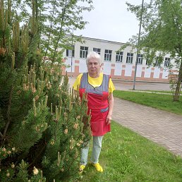 , 65, 