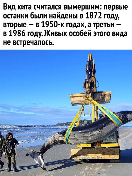   ? - 8  2024  10:32 - 3