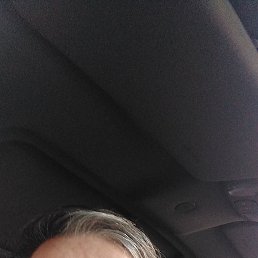 ����, ������, 75 ���