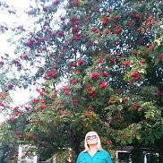 , 61 , 