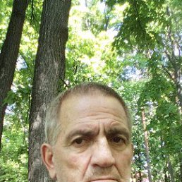 , 58, 