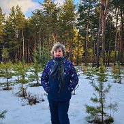 ����, 67 ���, �������