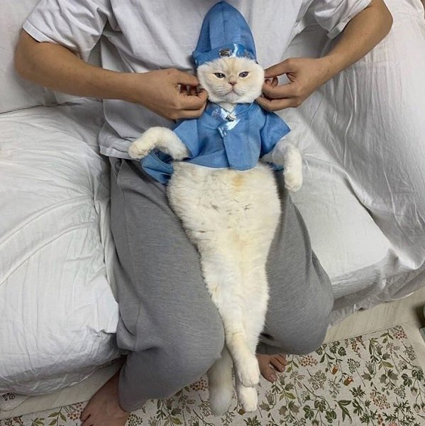    ,  ....