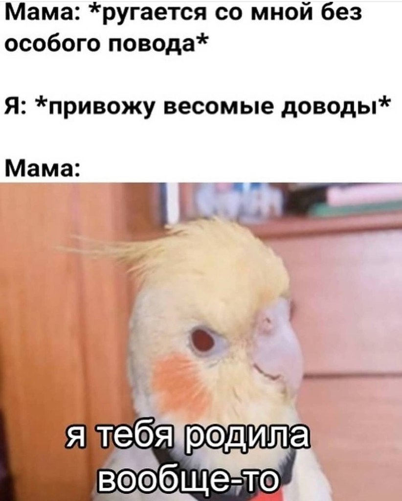    - 15  2024  20:21