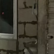 ������, 37 ���, �����-���������