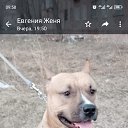  ,  -  7  2024    