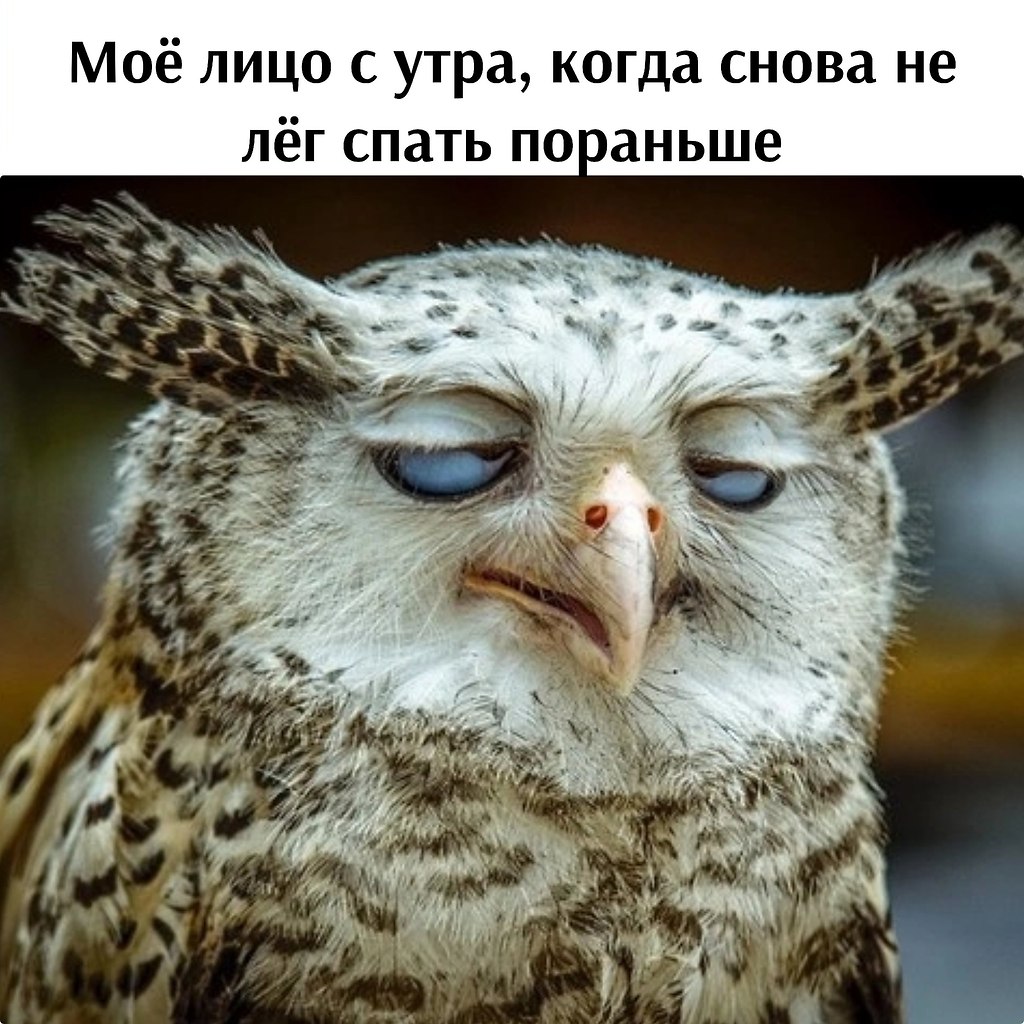   - 22  2025  08:04