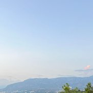 ��������, 49 ���, ���������