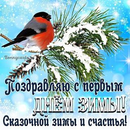 ���� �������, ������, 61 ��� - ��������� 15 ������� 2023