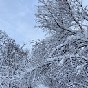 ���� �������, ����� - ��������� 7 ������� 2025 � ������ ���� ����������