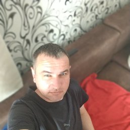 , 37, 