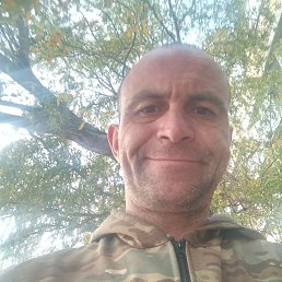 �������, 49 ���, �������