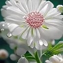 ���� �����, ����������� - ��������� 24 ������� 2025 � ������ ������ ��������