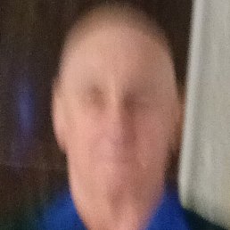 ��������, �����, 65 ���