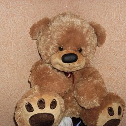 ����, �����������, 38 ���