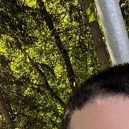 �����, 33 ����, ������