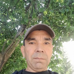 , 48, 