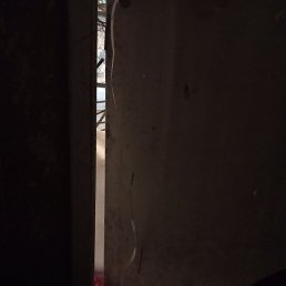 �����, ������, 39 ���