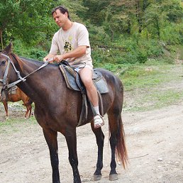 ���� Alex A, ��������� - ��������� 1 ������ 2026