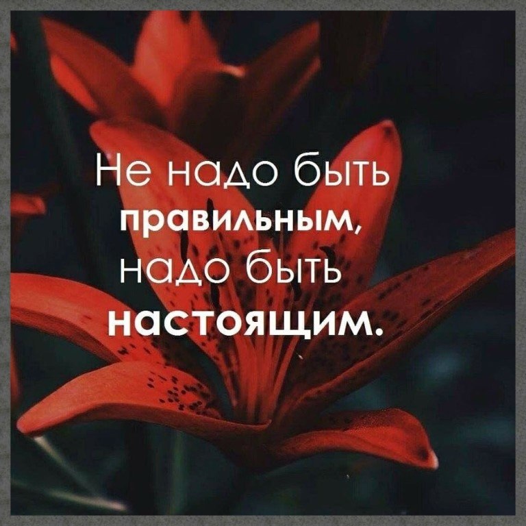 ☆ ☆ - 26  2024  00:35