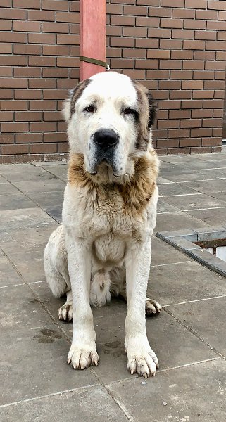 26 ������� 2017 ���� � ��� �� ���� ����� ������. ������ ���� ���� � ������ � �����. � ��� ��� ... - 3