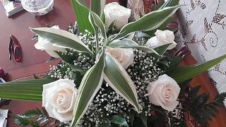 ���� Adamov, ����, 40 ��� - ��������� 4 ��� 2026
