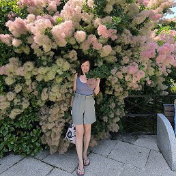 ����, ������, 42 ����