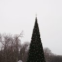  ,  , 45  -  29  2024    