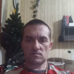 ���� ������� �������, �����-���������, 41 ��� - ��������� 13 ������� 2025