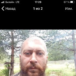, 41, 