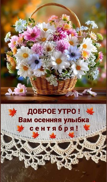   - 12  2024  09:23