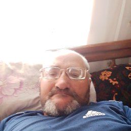 , 44, 