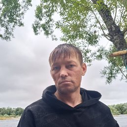 , 34, 