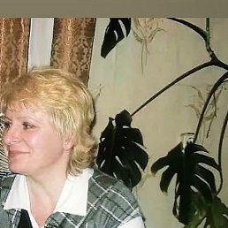 �����, �����������, 56 ���