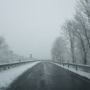���� Wolf, ���� - ��������� 13 ������ 2024 � ������ ������ ��������