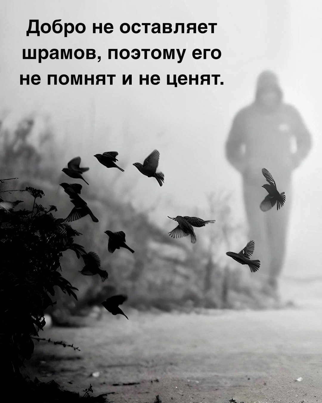  - 27  2025  12:22