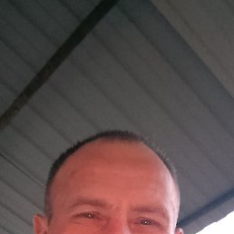 , 48, 