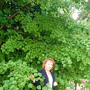 ���� ������, �����������, 63 ���� - ��������� 15 ������� 2025 � ������ ���� ����������