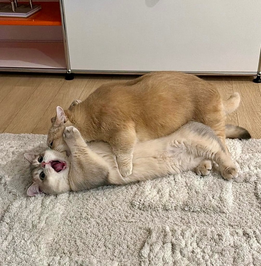 �� �������� ����� �� ����� - ���� ���� - 3