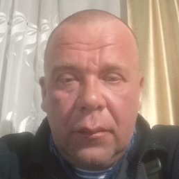 ���� �������, ����, 44 ����