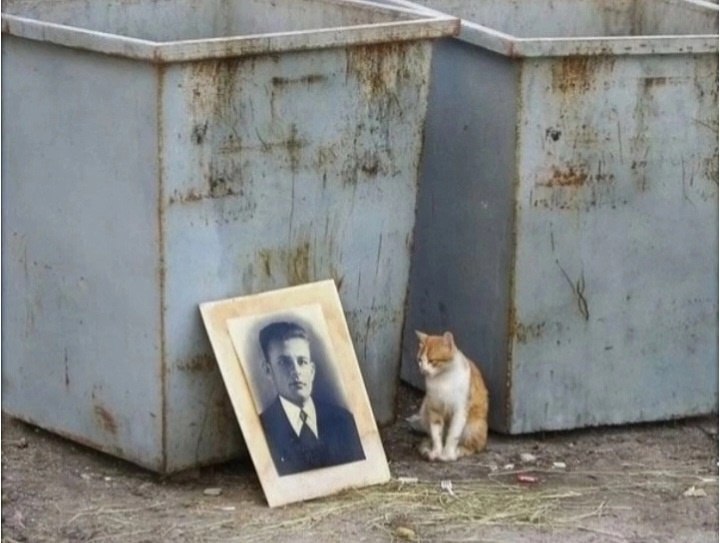 Обращение кота к ушедшему хозяину Автор:Наталья Ганженко "Хозяин,мы снова с тобою вместе! Наше ...