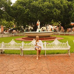 ��������, ������, 23 ����