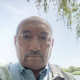 ��������, 66 ���, �������