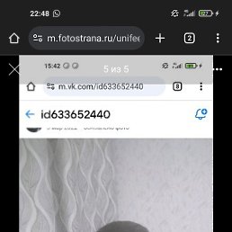 , 44, 