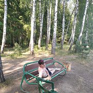 �������, 43 ����, ����������