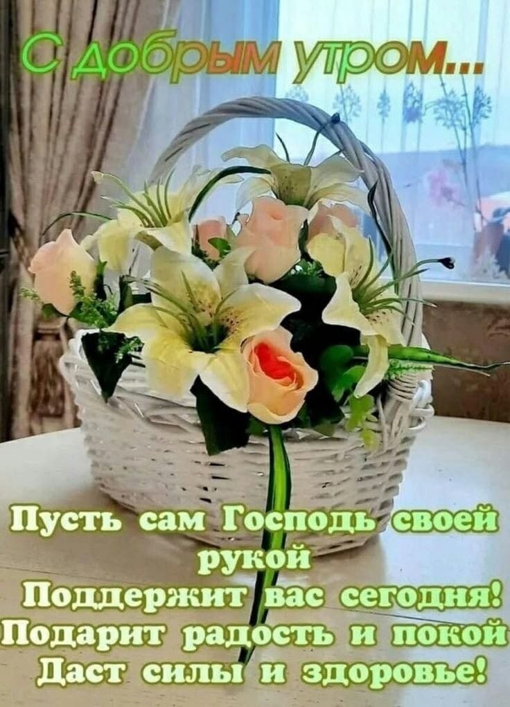 ***Victoria Viktorovna*** - 31  2024  04:52