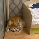 ���� ����, �����, 36 ��� - ��������� 18 ������� 2024 � ������ ���� ����������